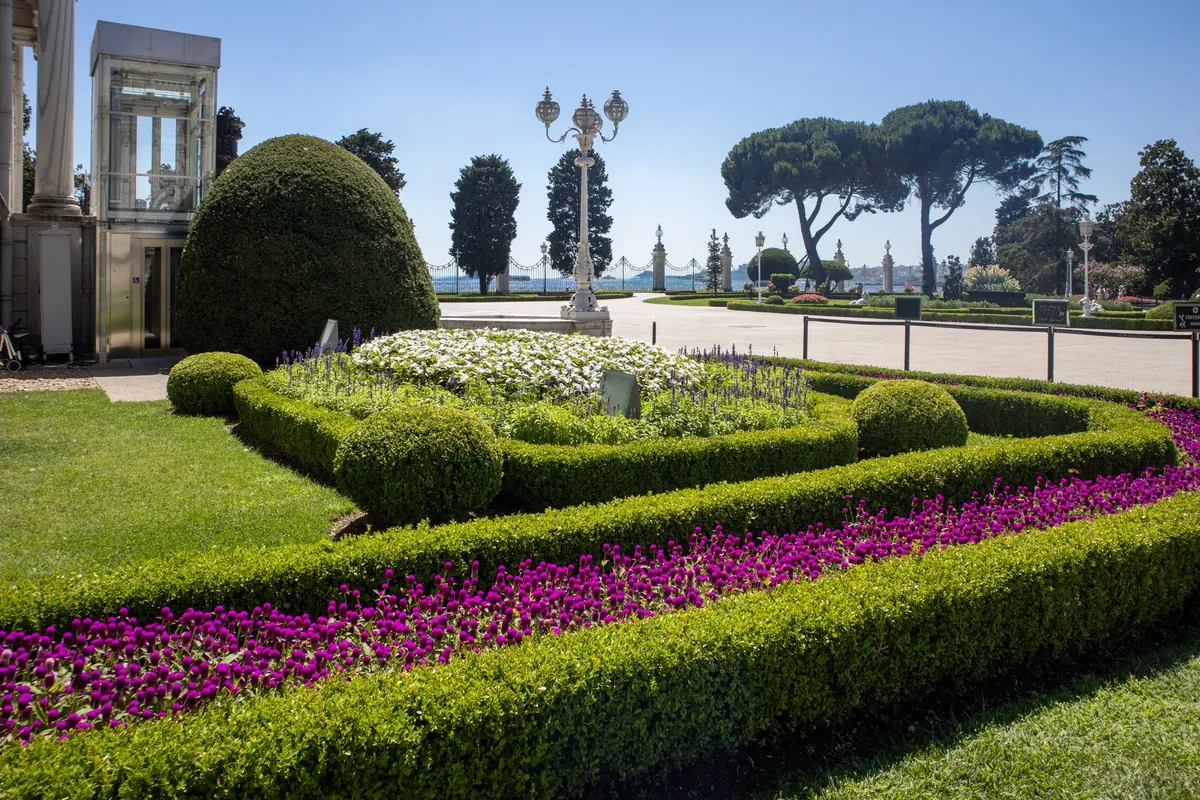 How to Create a Knot Garden: A Step-by-Step Guide for Manor Gardens