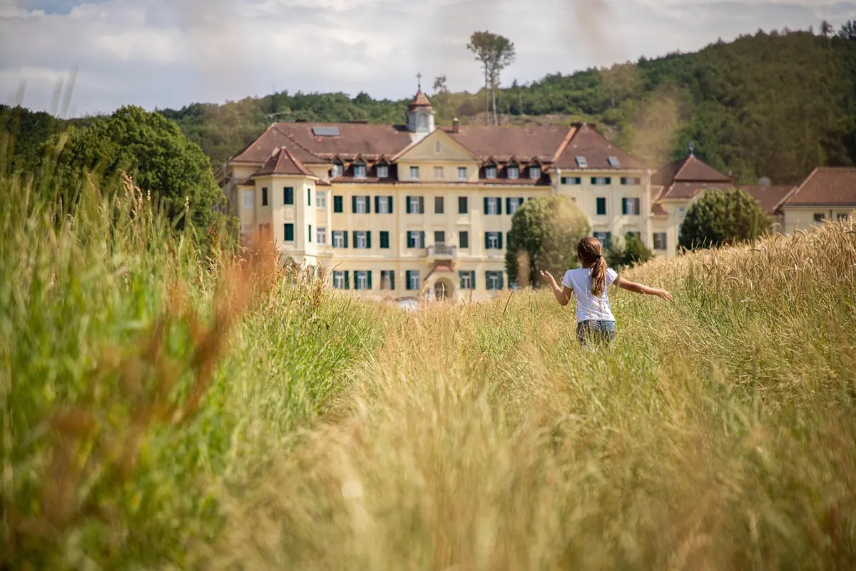 Manor House vs. Country House: What's the Difference?